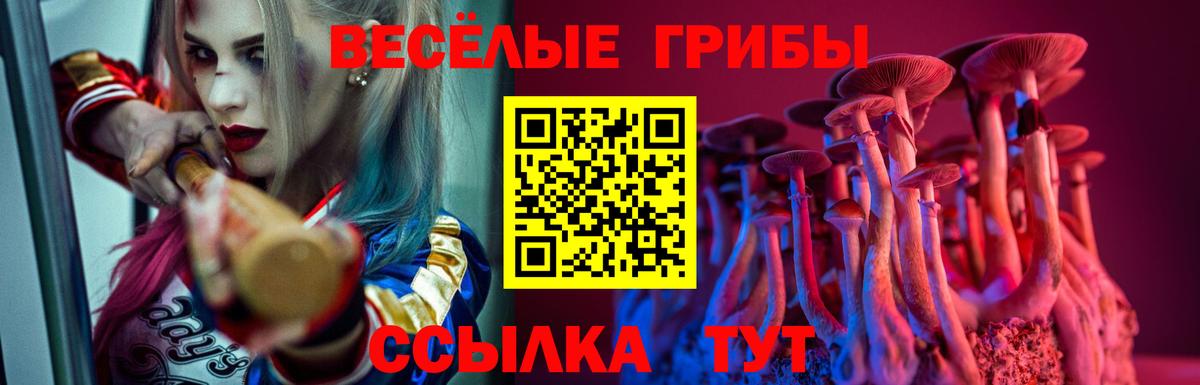 Кирово-Чепецк  Галлюциногенные грибы мухоморы  Псилоцибиновые грибы Psilocybe  Вход с VPN 
